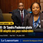 Dr Sandra Paulemon représente Haïti lors du Segment de haut niveau de l’ECOSOC à New York.